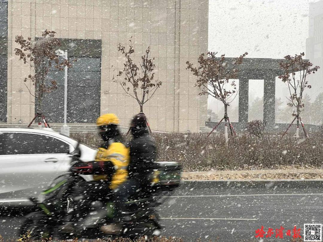 雪来了！哈尔滨发出第一张“请柬”，我们的约会又要开始了……