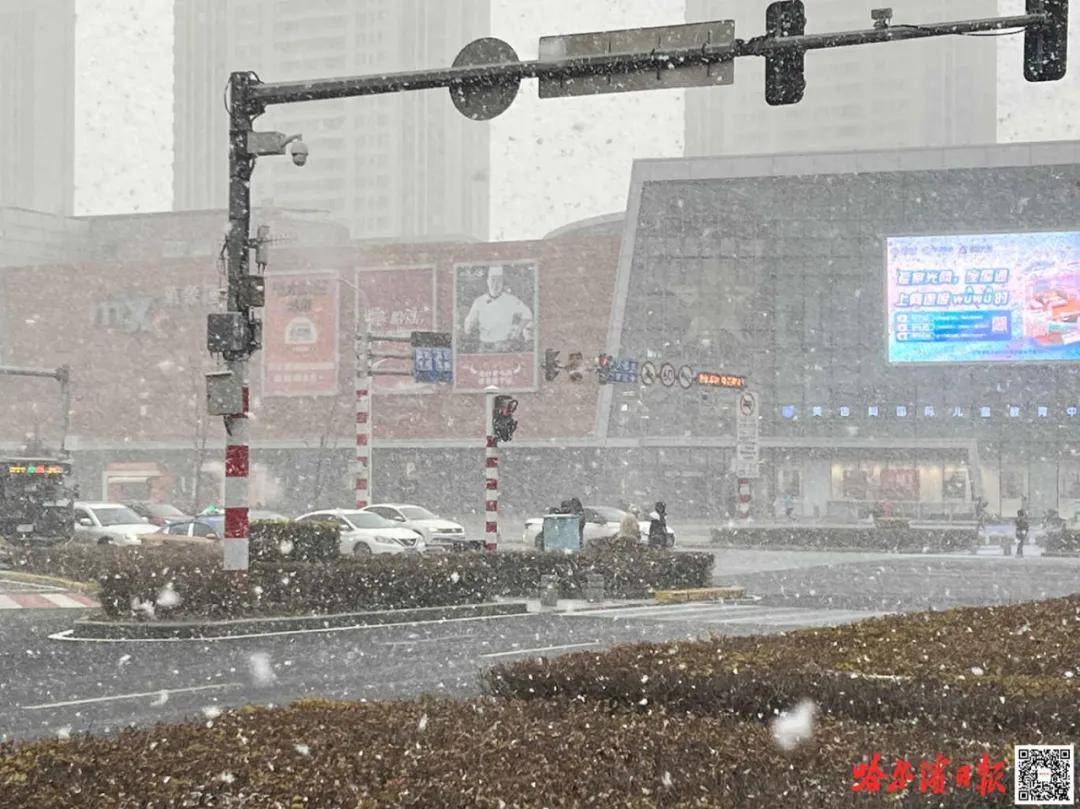 雪来了！哈尔滨发出第一张“请柬”，我们的约会又要开始了……